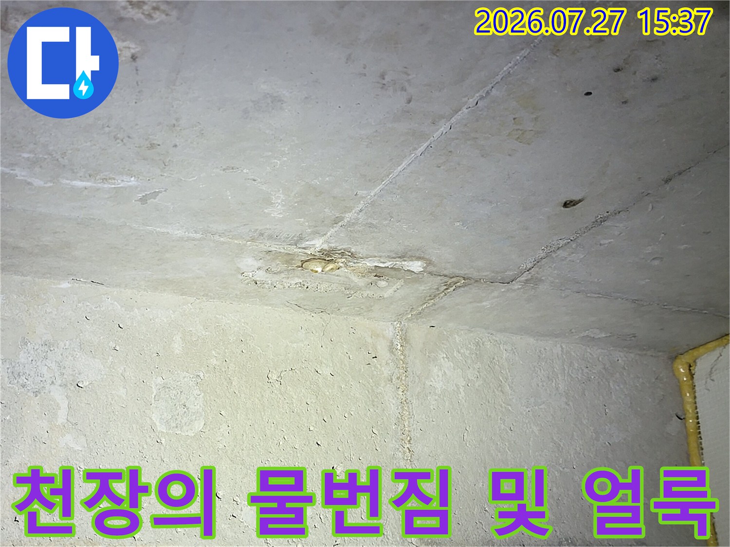 습기가 스며들어 변색된 콘크리트 천장-누수 피해가 발생한 지점