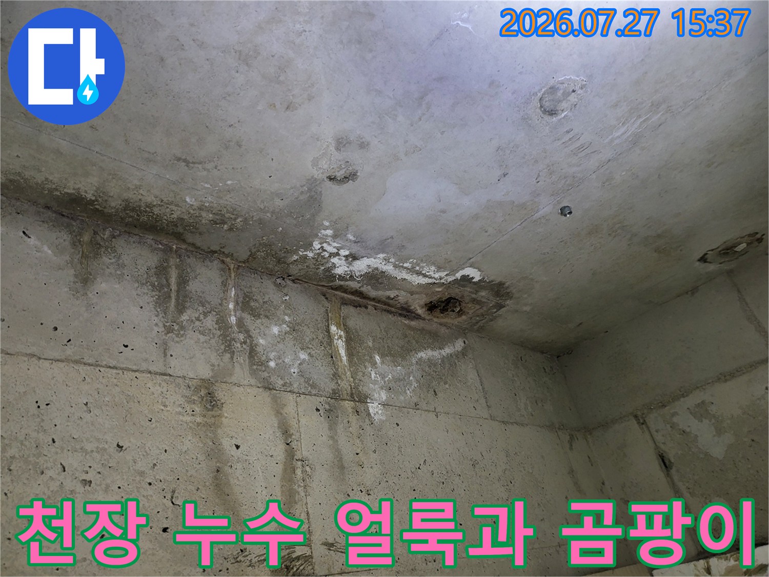 콘크리트 천장에 물이 스며들어 발생한 갈색 얼룩-습기-곰팡이 현상