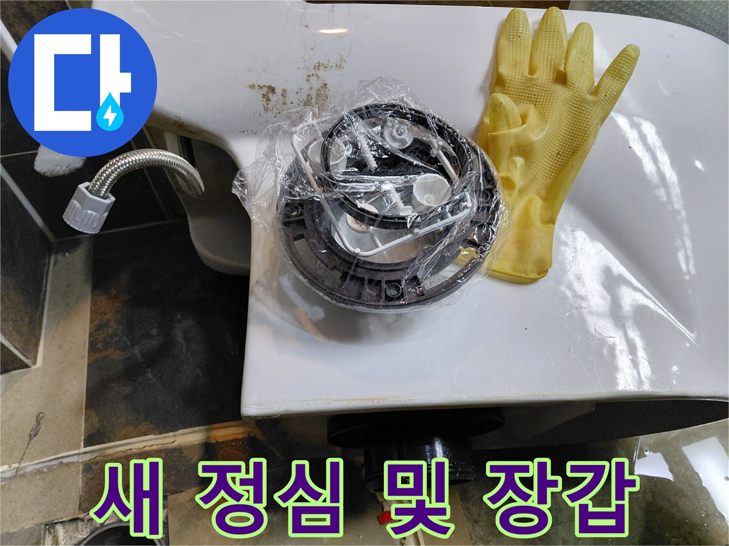 비닐포장된-정심과-노란색-고무장갑-준비