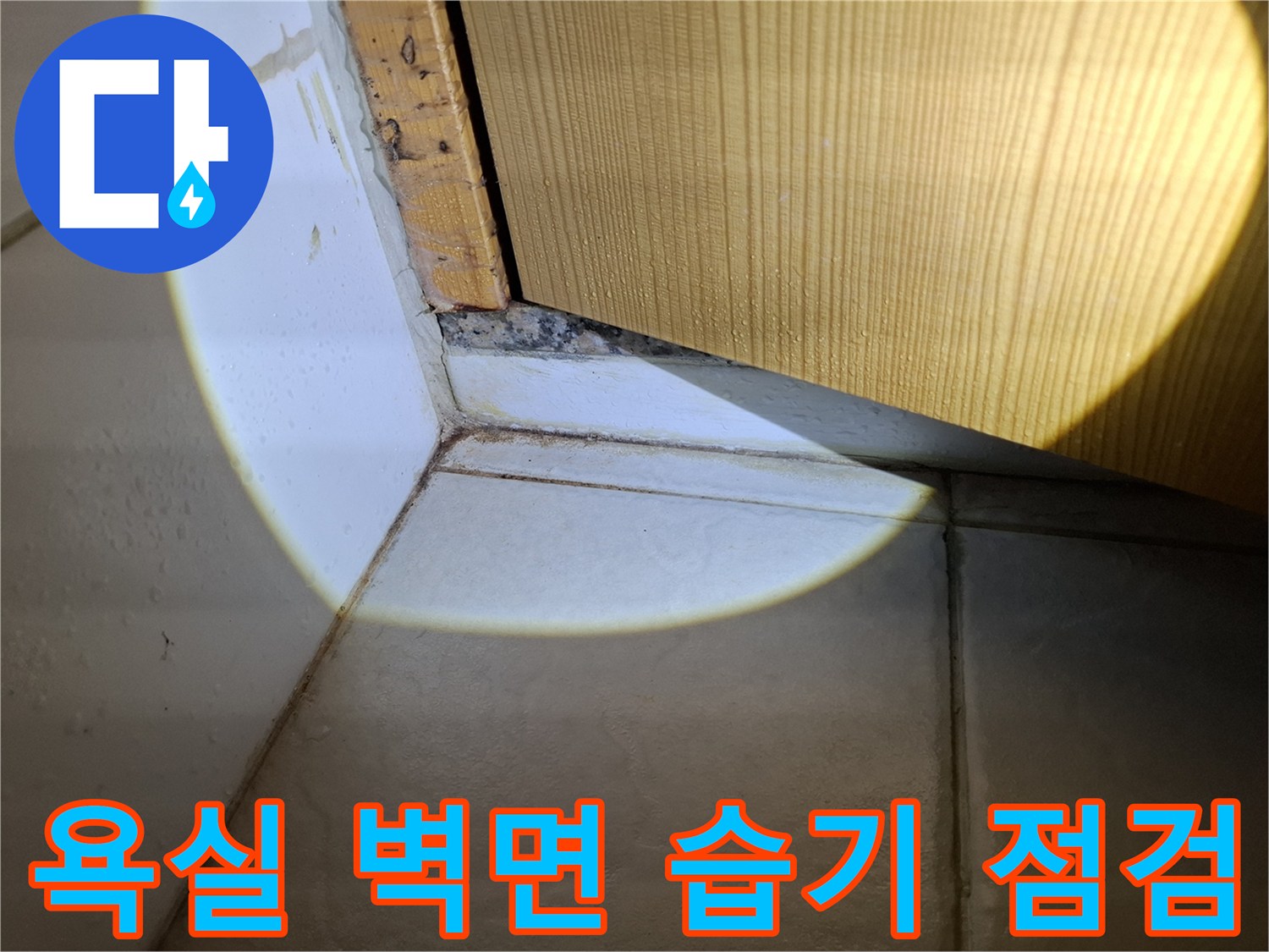 욕실-벽면-타일-경계-부분의-습기-침투-상태-조사