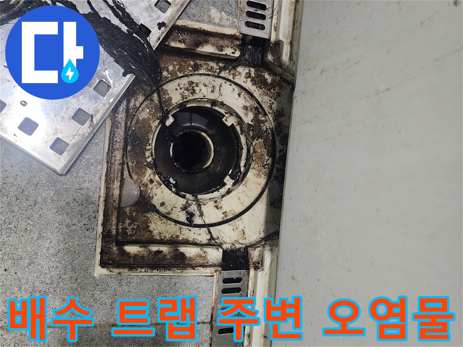 하수구-입구-주변의-검은색-곰팡이-얼룩