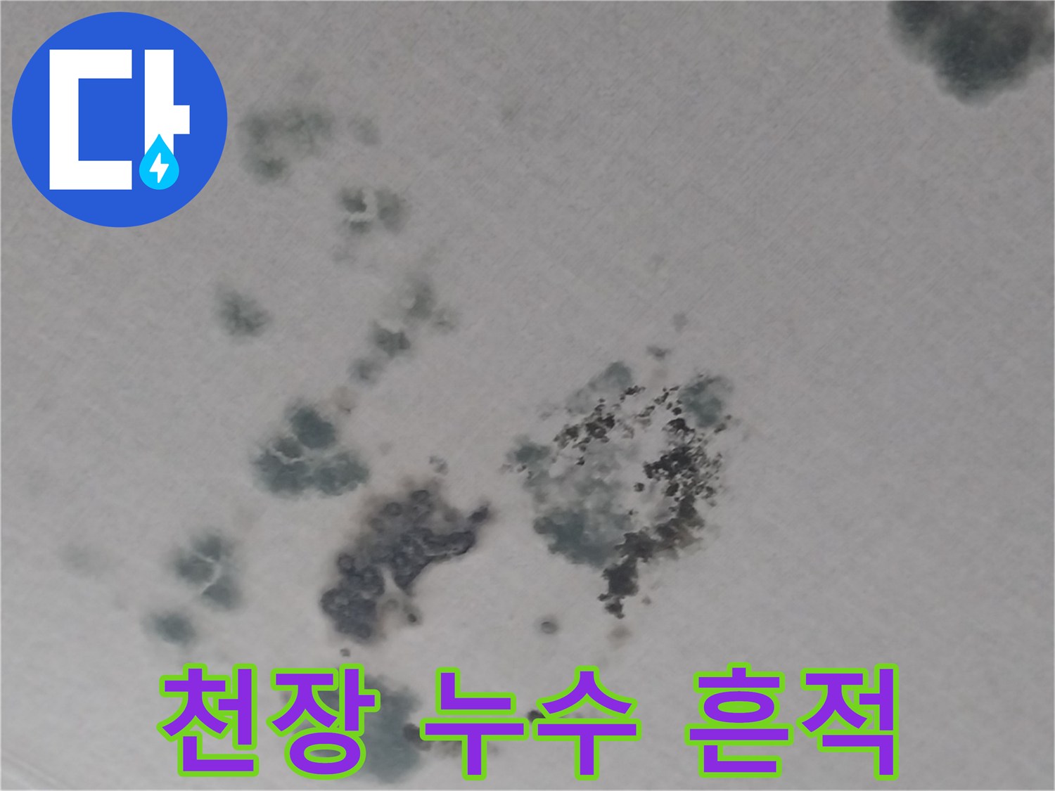 거실-천장-벽면의-누수-및-곰팡이-오염