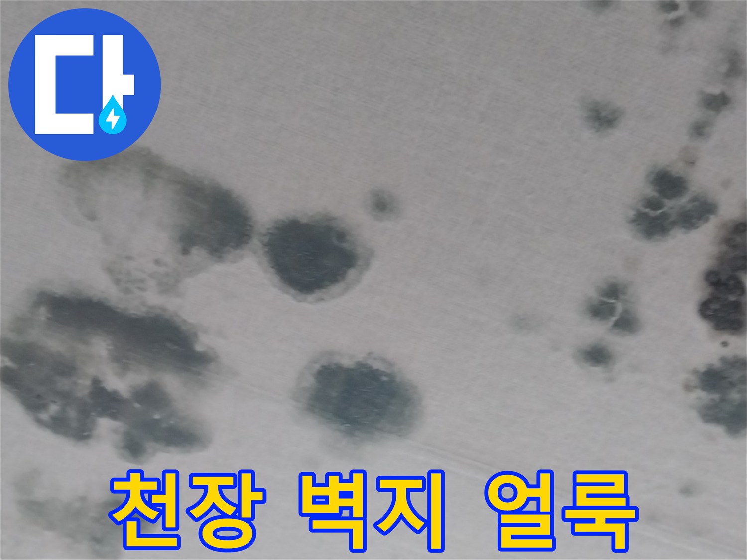 상가주택-거실-천장-벽지-누수-흔적-및-곰팡이