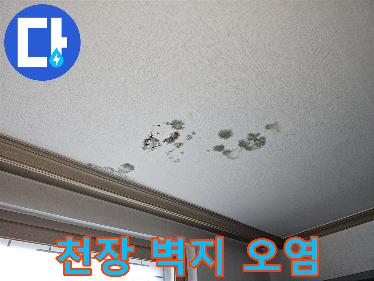 습기와 곰팡이로 인해 변색된 거실 천장 부분