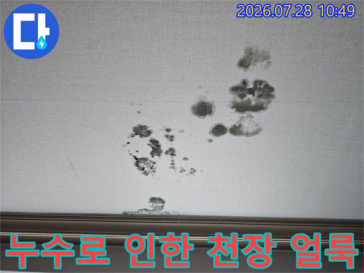 천장 마감재에 발생한 불규칙한 형태의 짙은 얼룩과 습기 흔적