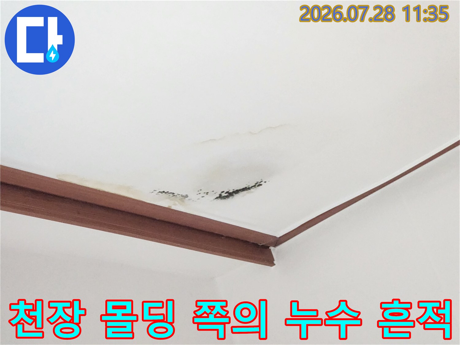 거실 천장 몰딩 근처에 형성된 곰팡이와 물자국