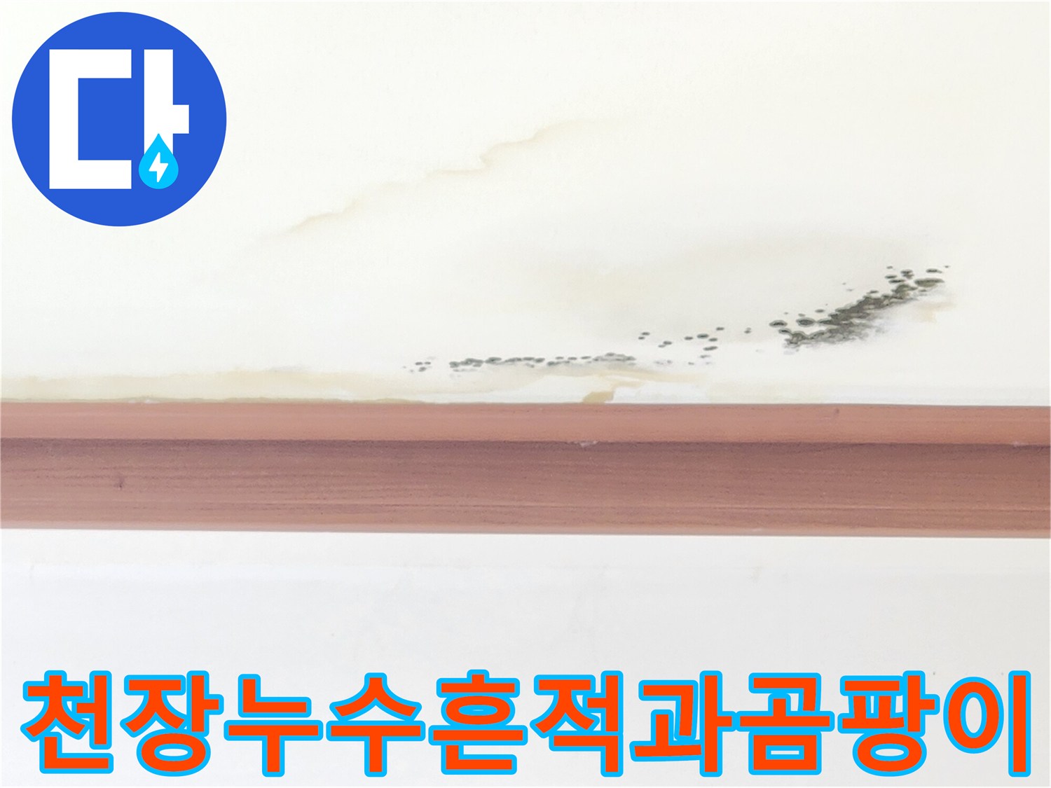 거실-천장-벽면의-누수-얼룩과-곰팡이-발생 현황