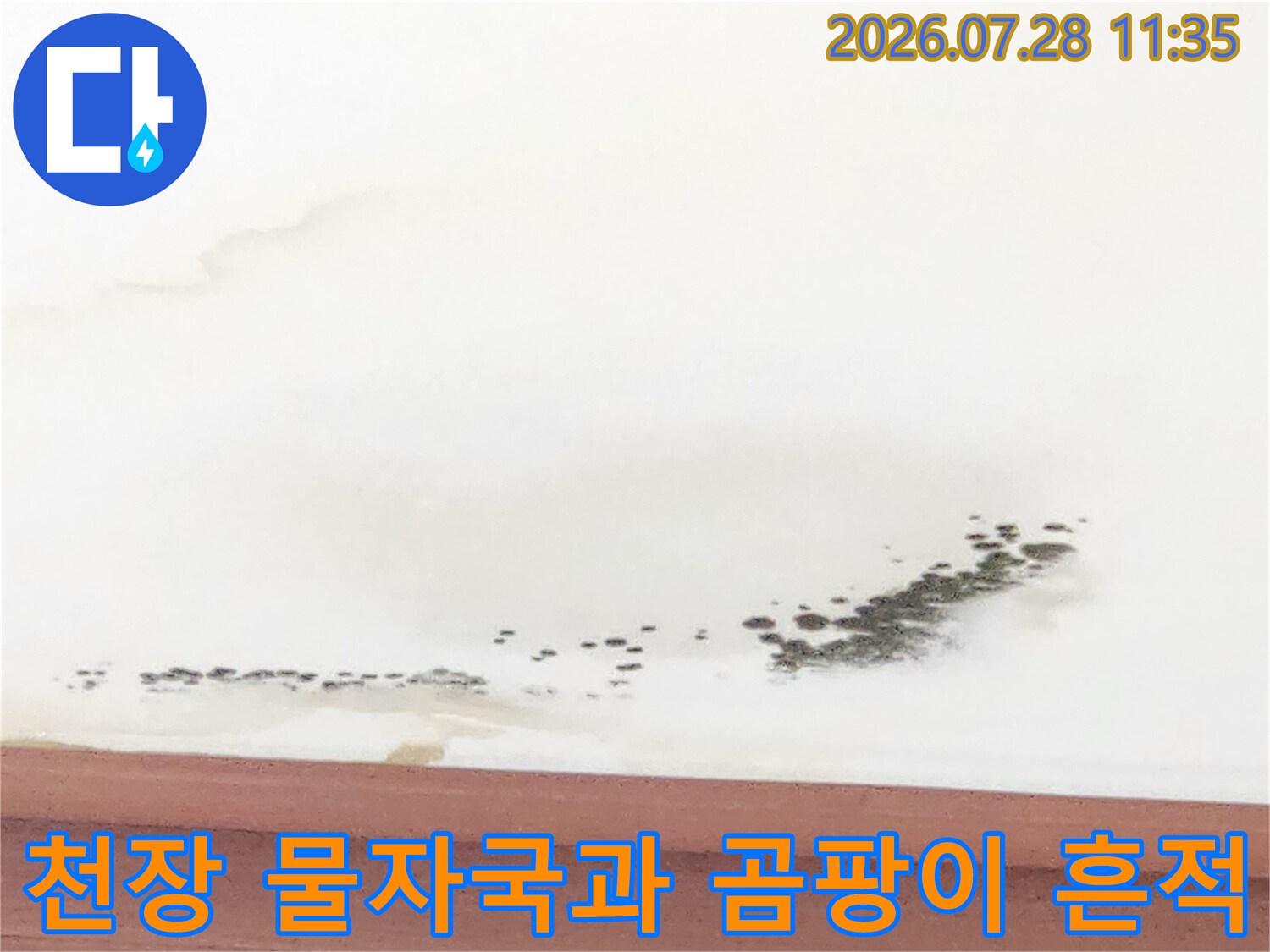 거실 천장에 발생한 누수 흔적과 곰팡이 부위