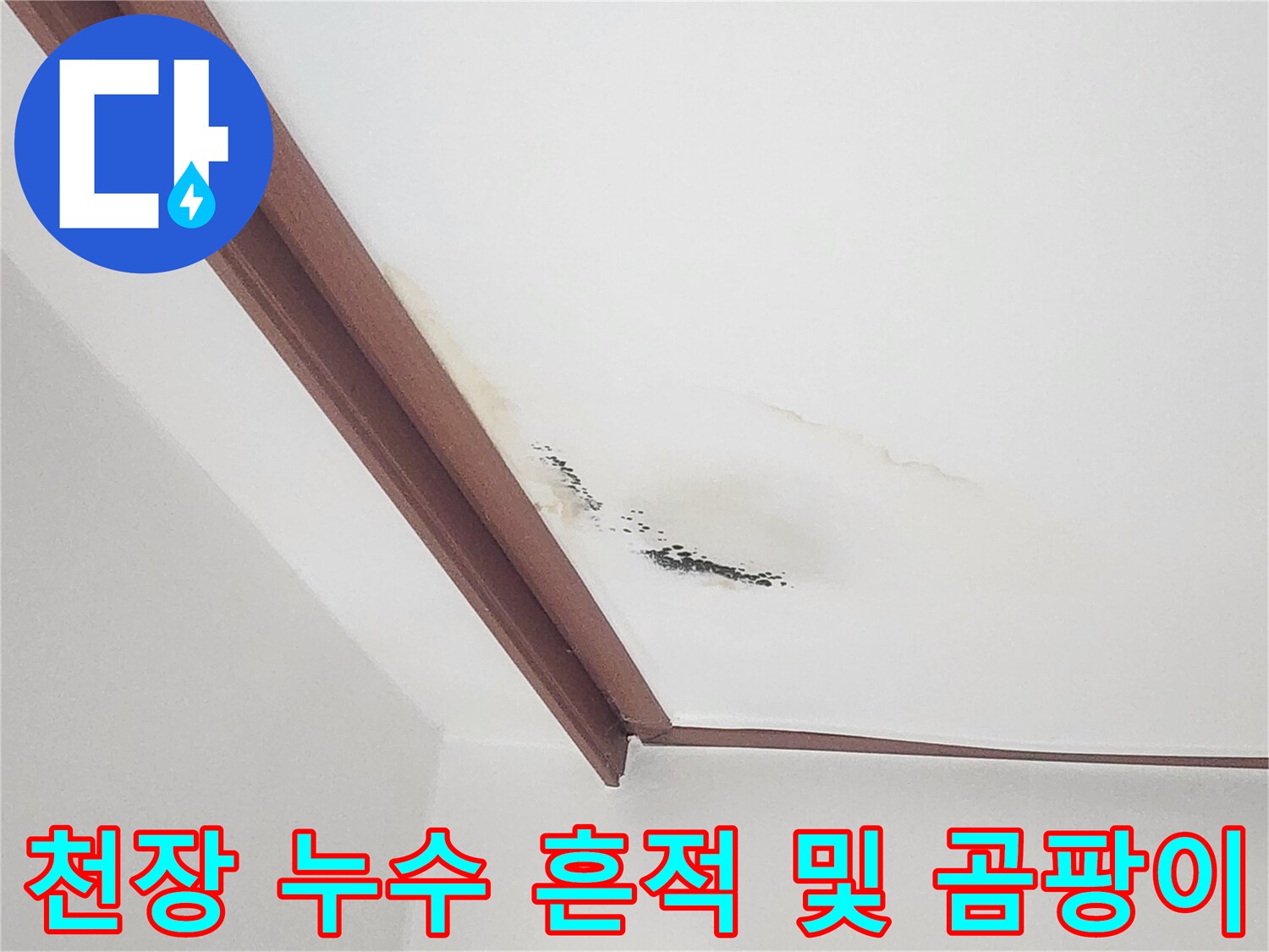 거실 천장에 발생한 물자국과 검은 곰팡이 현상
