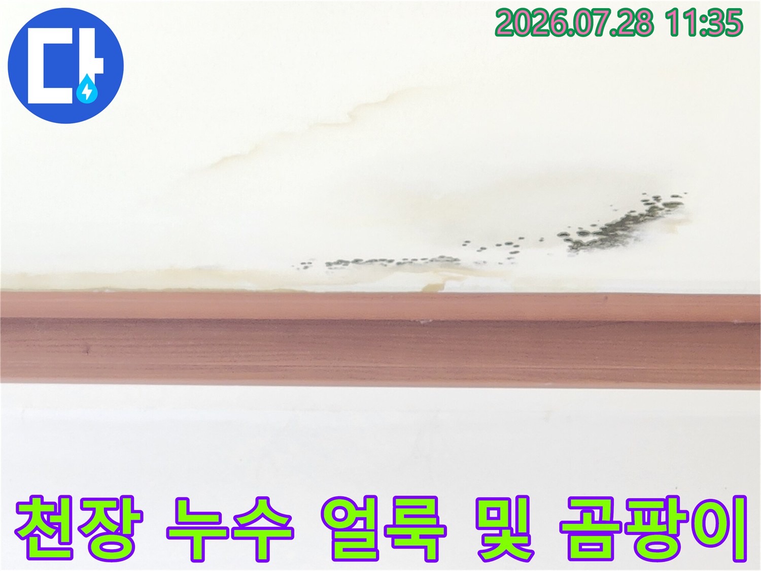 거실 천장에서 발견된 물자국과 주변의 변색 영역