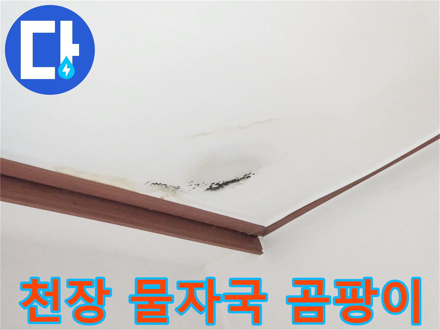 아랫집 거실 천장에 발생한 누런 물얼룩과 검은 곰팡이 상태