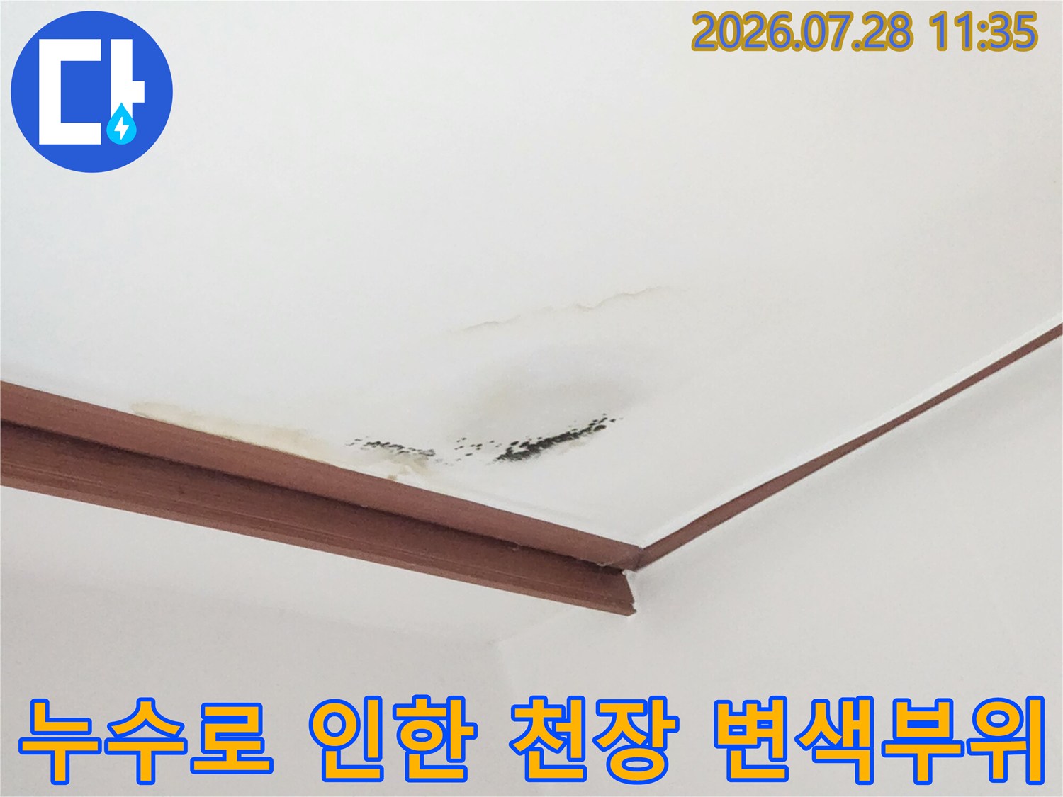 천장 모서리 부근에 누수로 발생한 검은 곰팡이 얼룩