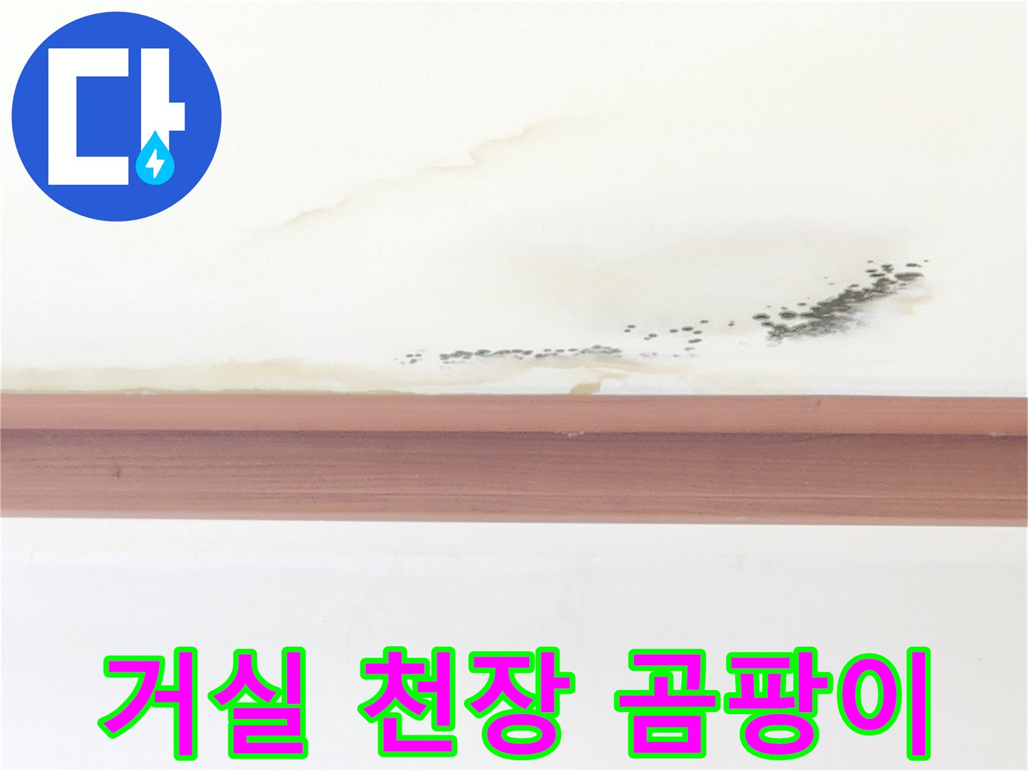 천장 몰딩 위쪽으로 번진 누런 얼룩과 곰팡이 발생 현황