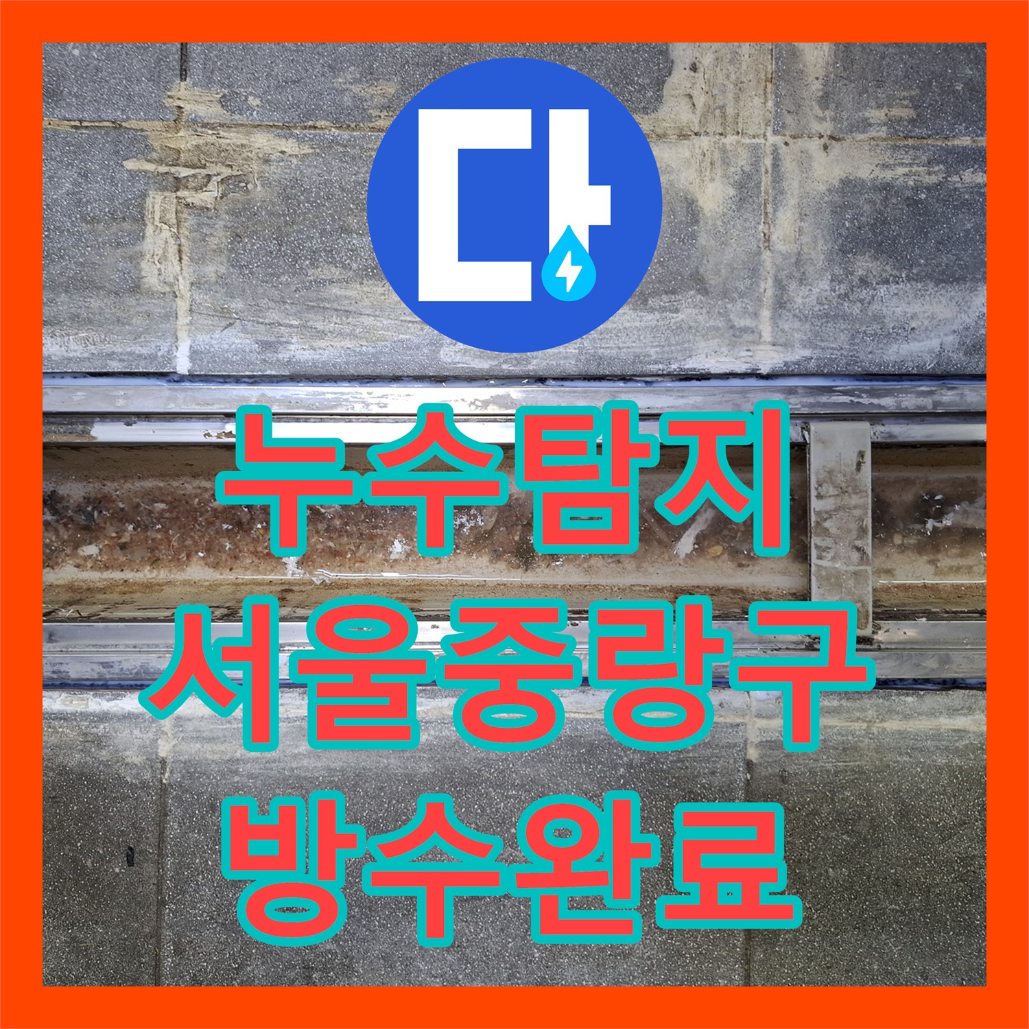 누수탐지 식당 주방 트랜치 방수층 파손으로 인한 지하 천장 물샘 서울 중랑구