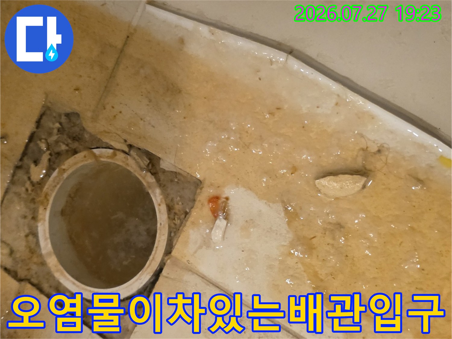 이물질과 함께 물이 고여 있는 화장실 바닥의 오수관 개구부 사진