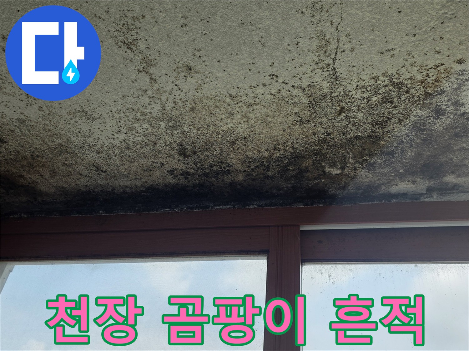 물샘-현상으로-발생한-천장-곰팡이와-얼룩