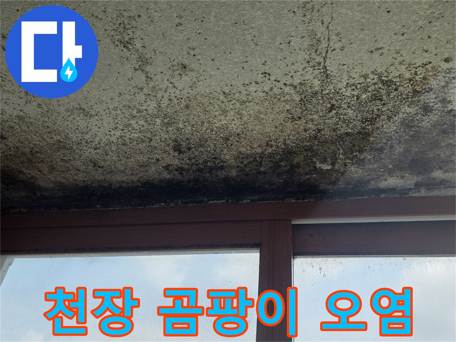 습기가-스며들어-곰팡이가-발생한-천장-표면
