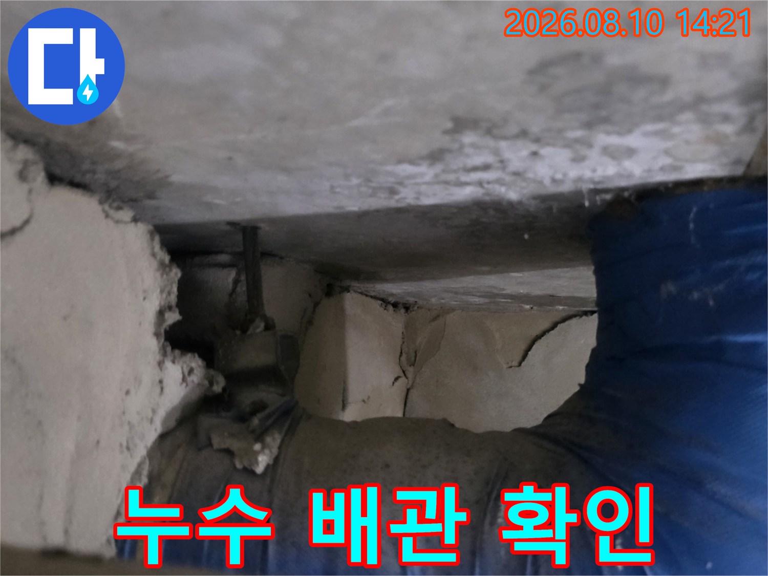 파란색 튜브 형태의 배관과 노후된 천장 마감재 내부 모습