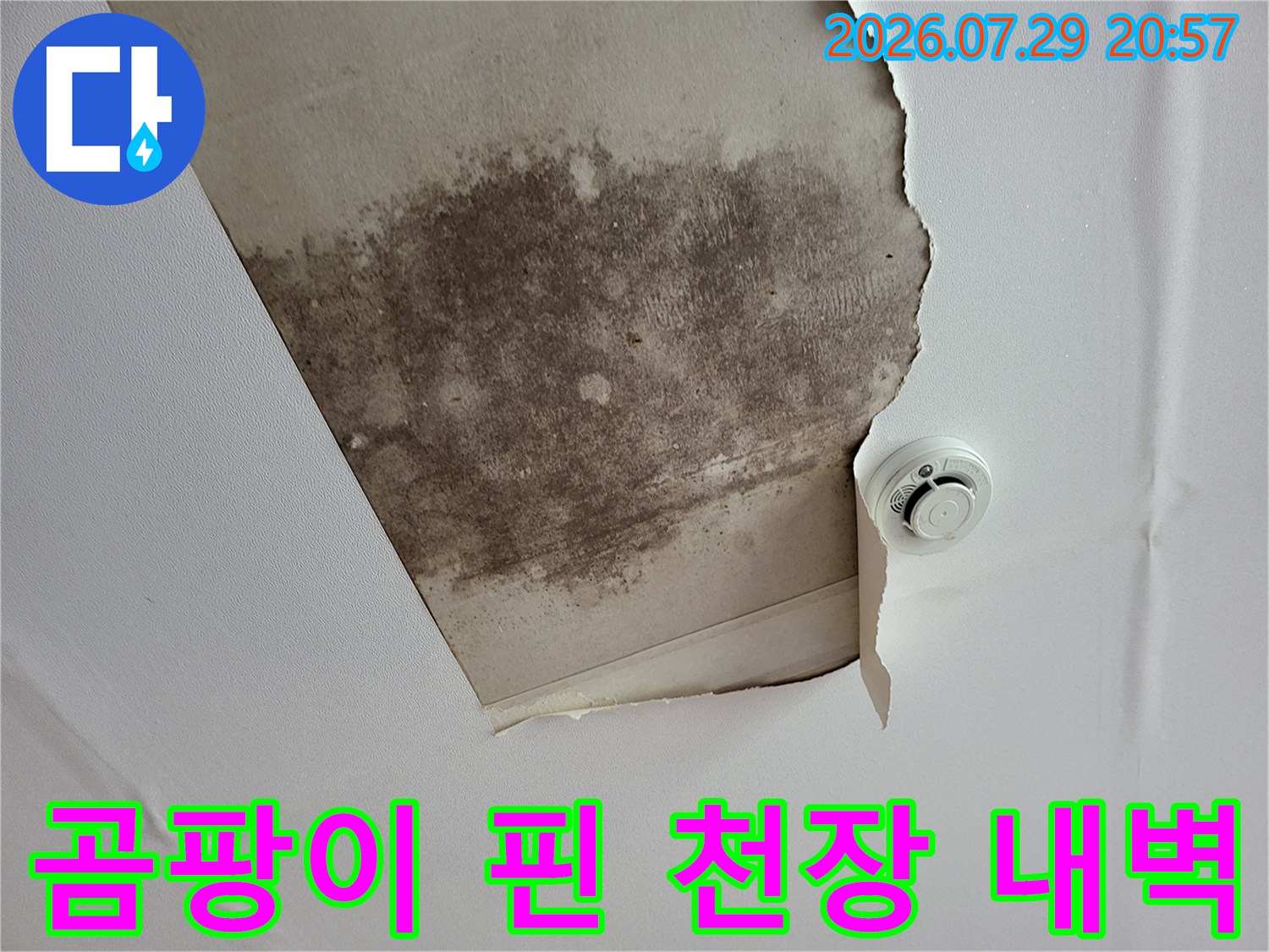 천장 안쪽 마감재를 제거한 후 노출된 오염 부위와 구조적 특징
