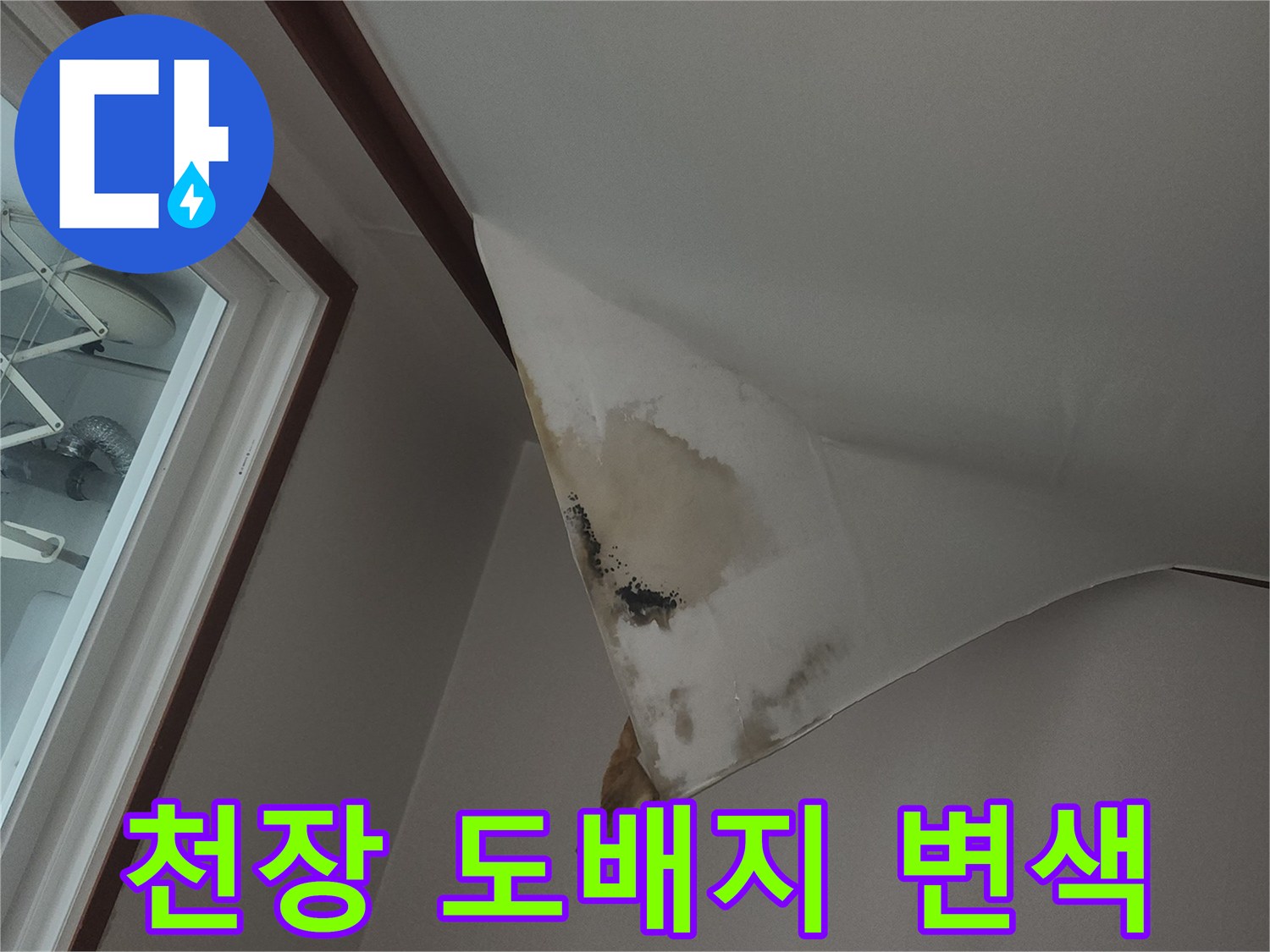 중구 동인천-천장 도배지가 젖어 얼룩진 모습