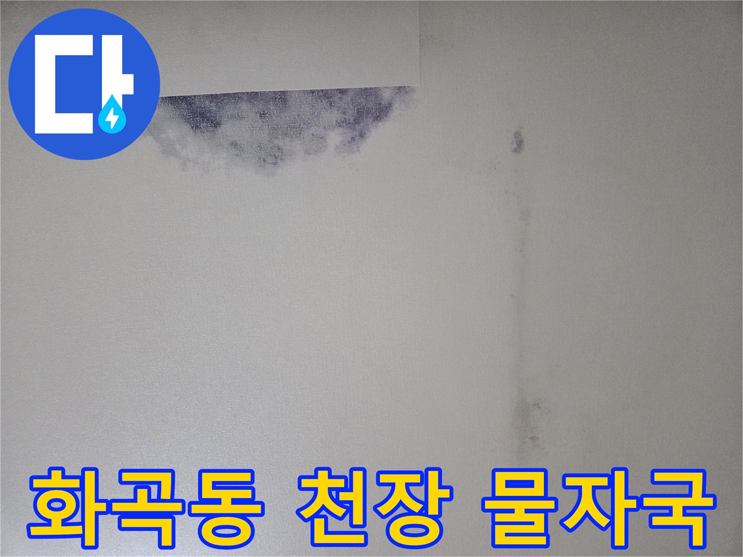 강서구 화곡동 아파트-천장 벽지 변색 및 곰팡이 발생 상태