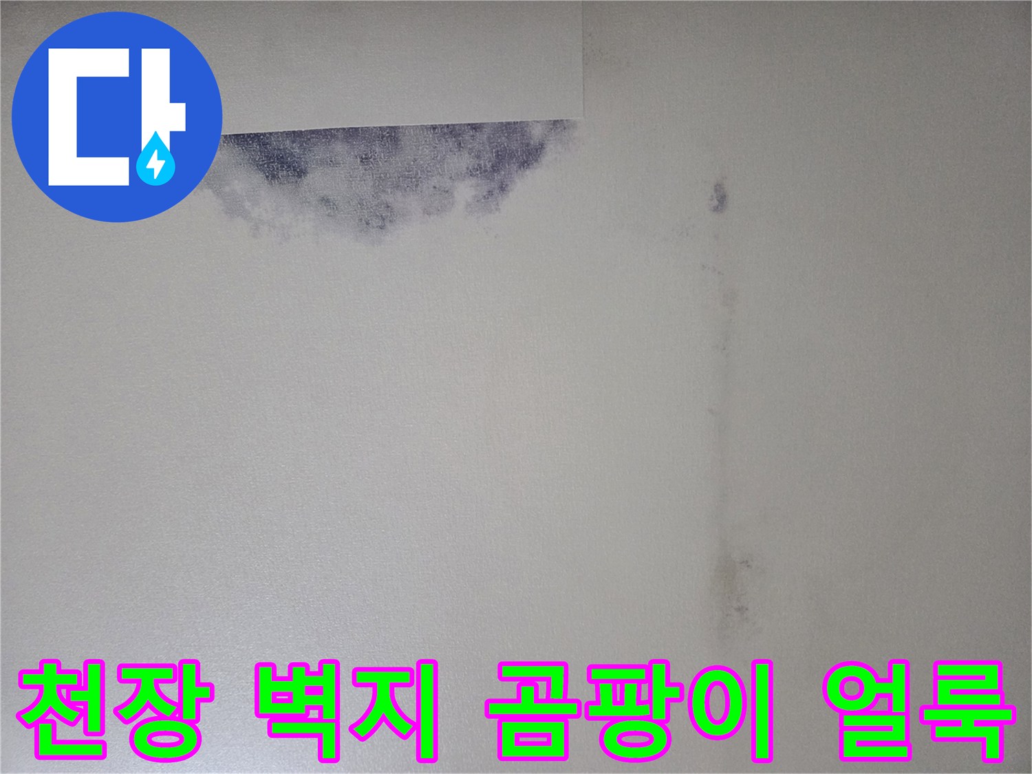 강서구 화곡동 현장의 천장 벽지 곰팡이 및 변색 상태