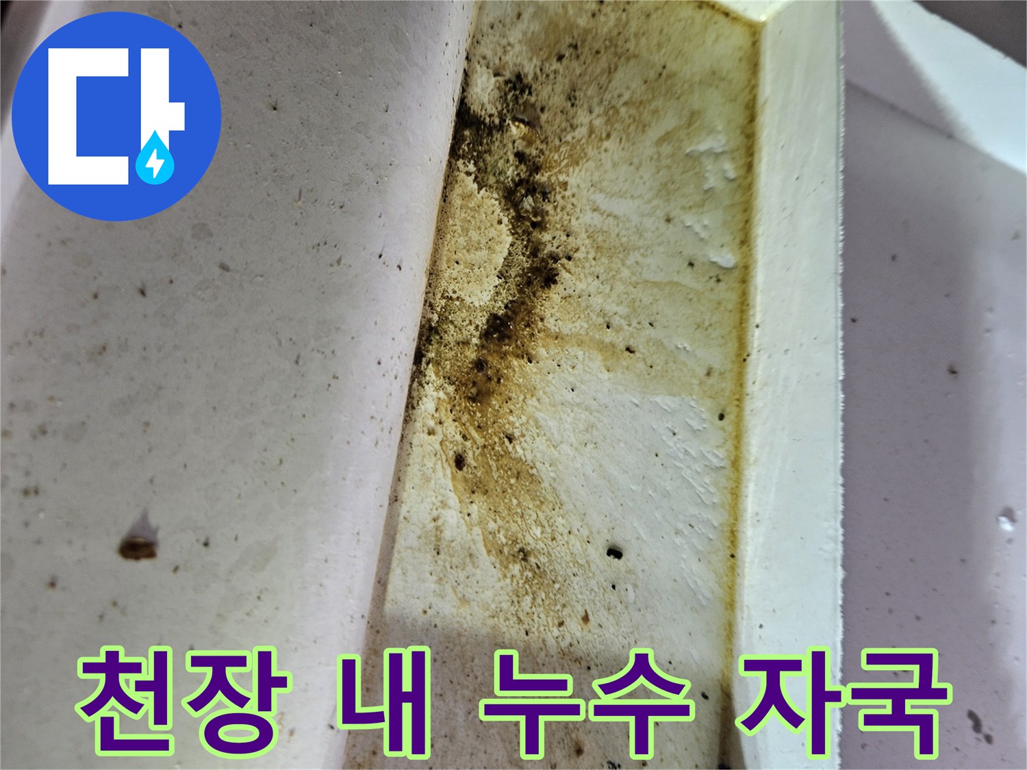 물샘 현상으로 인해 변색된 천장 내부 구조물