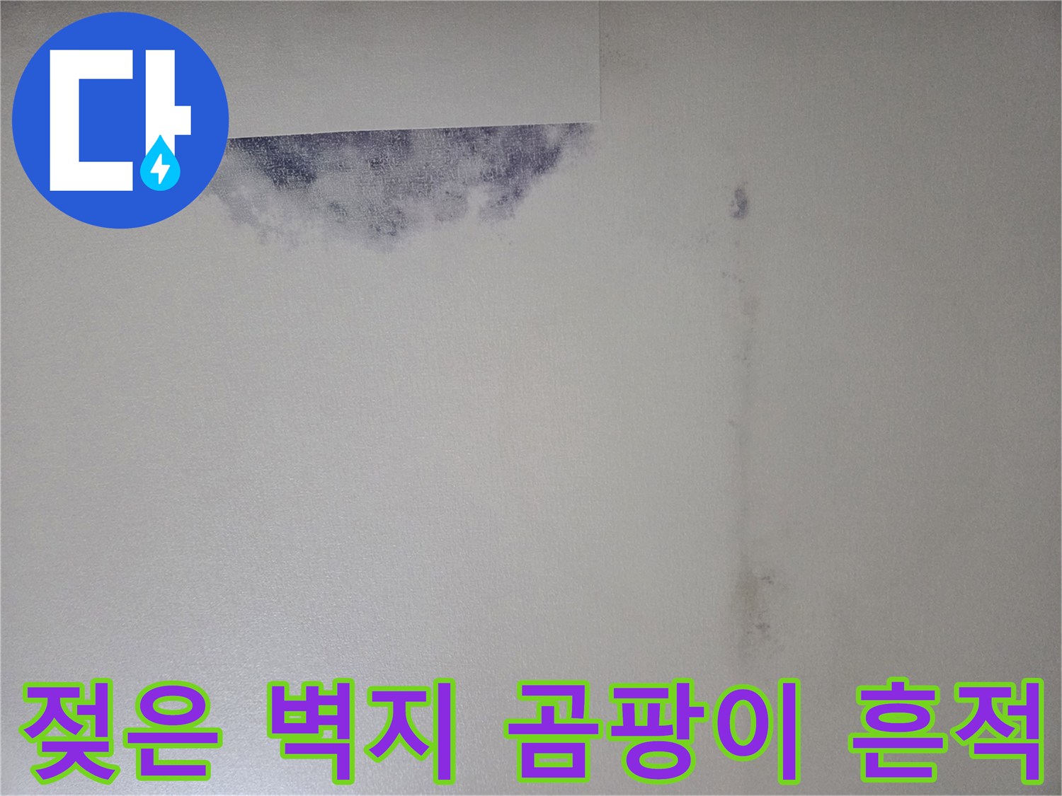 천장 상단 도배지의 습기 침투 및 오염 부위