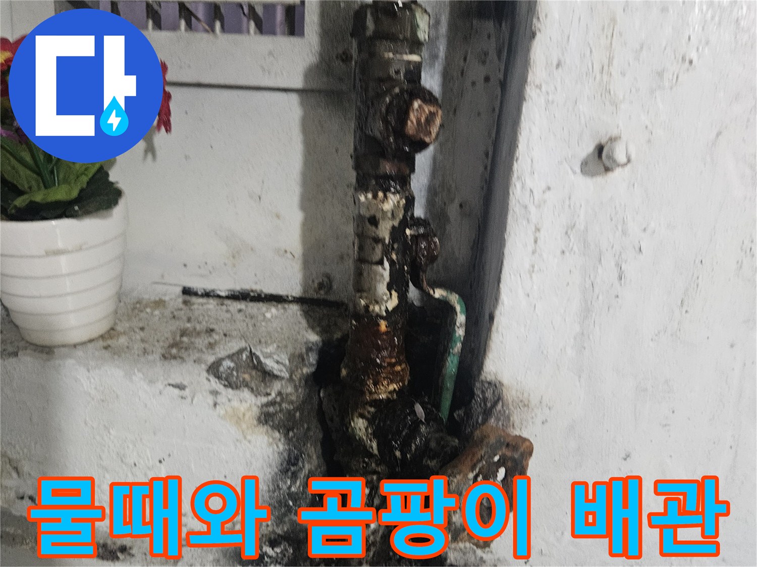 습기로 인해 검게 변한 배관 주변의 오염된 모습