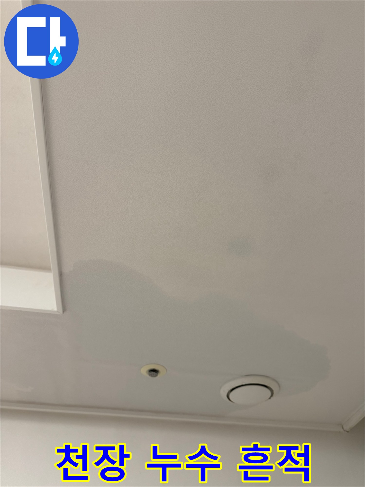 매립등 부근 천장 벽지가 물에 젖어 어둡게 변한 모습