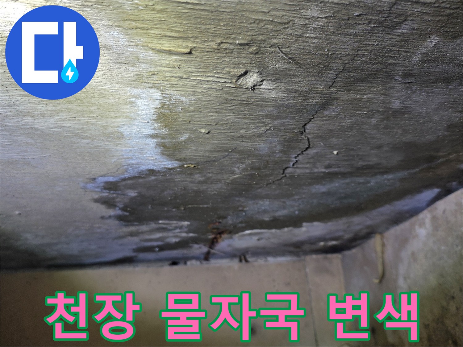 구미동 현장 사진-천장 표면의 어두운 얼룩과 습기 흔적