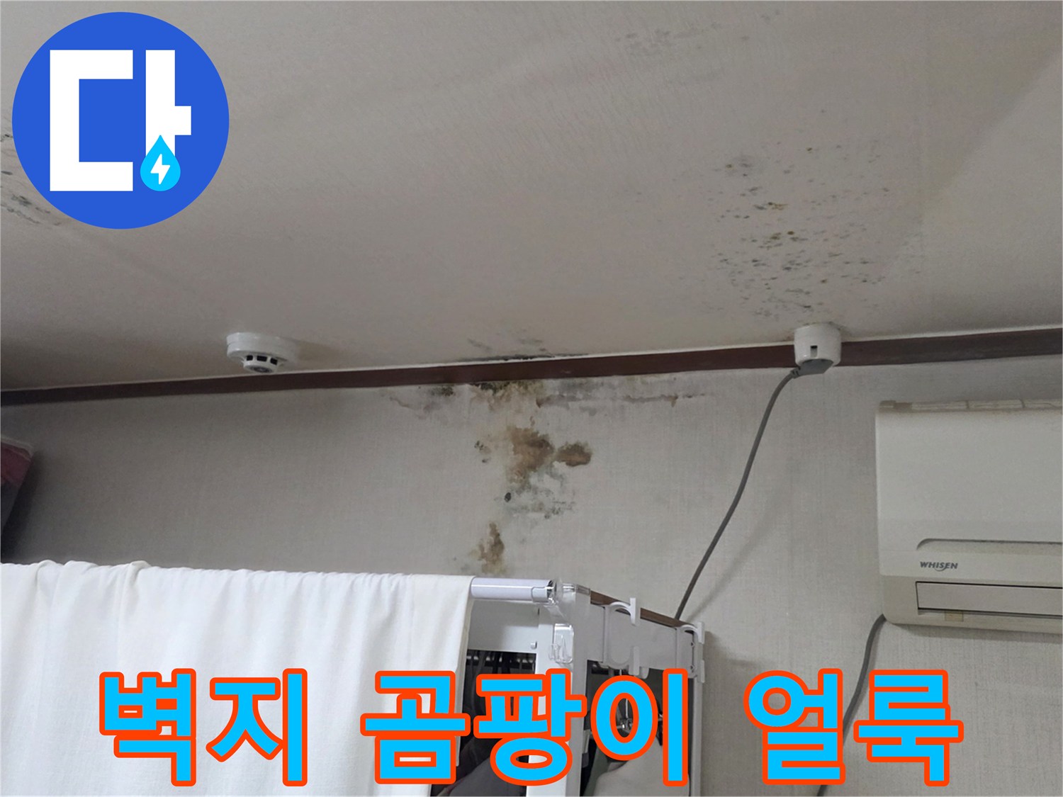 천장 가장자리-습기로 인한 곰팡이 발생