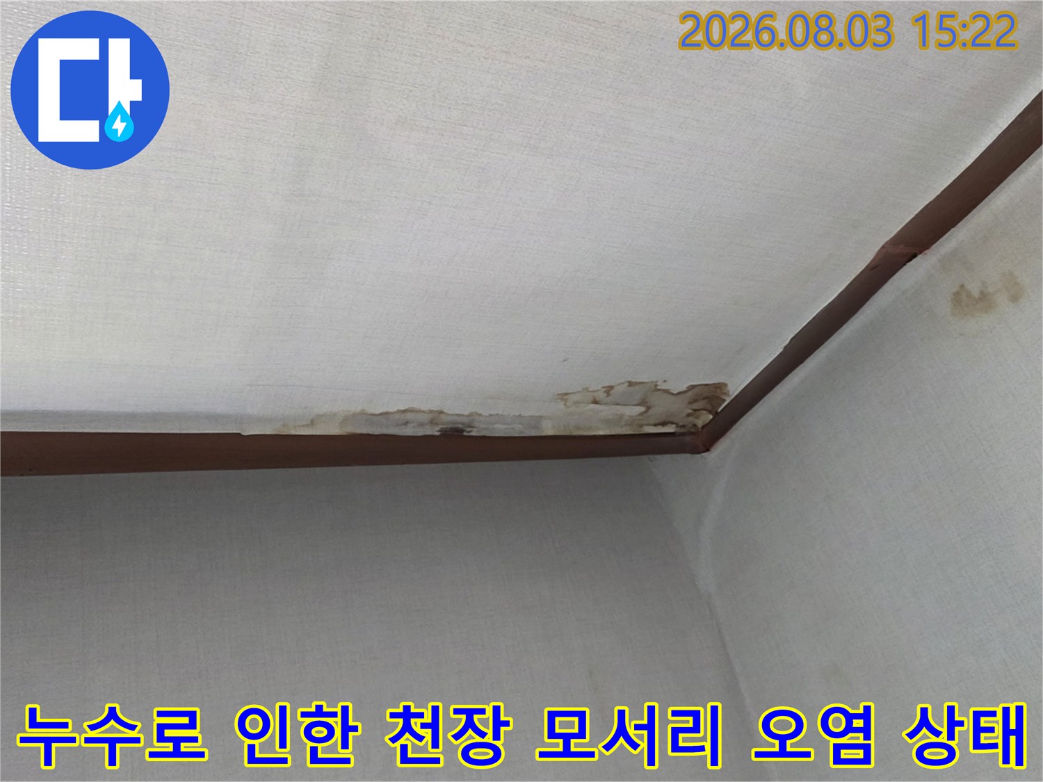 천장과 벽면 경계 부위에 발생한 누수 얼룩 및 곰팡이