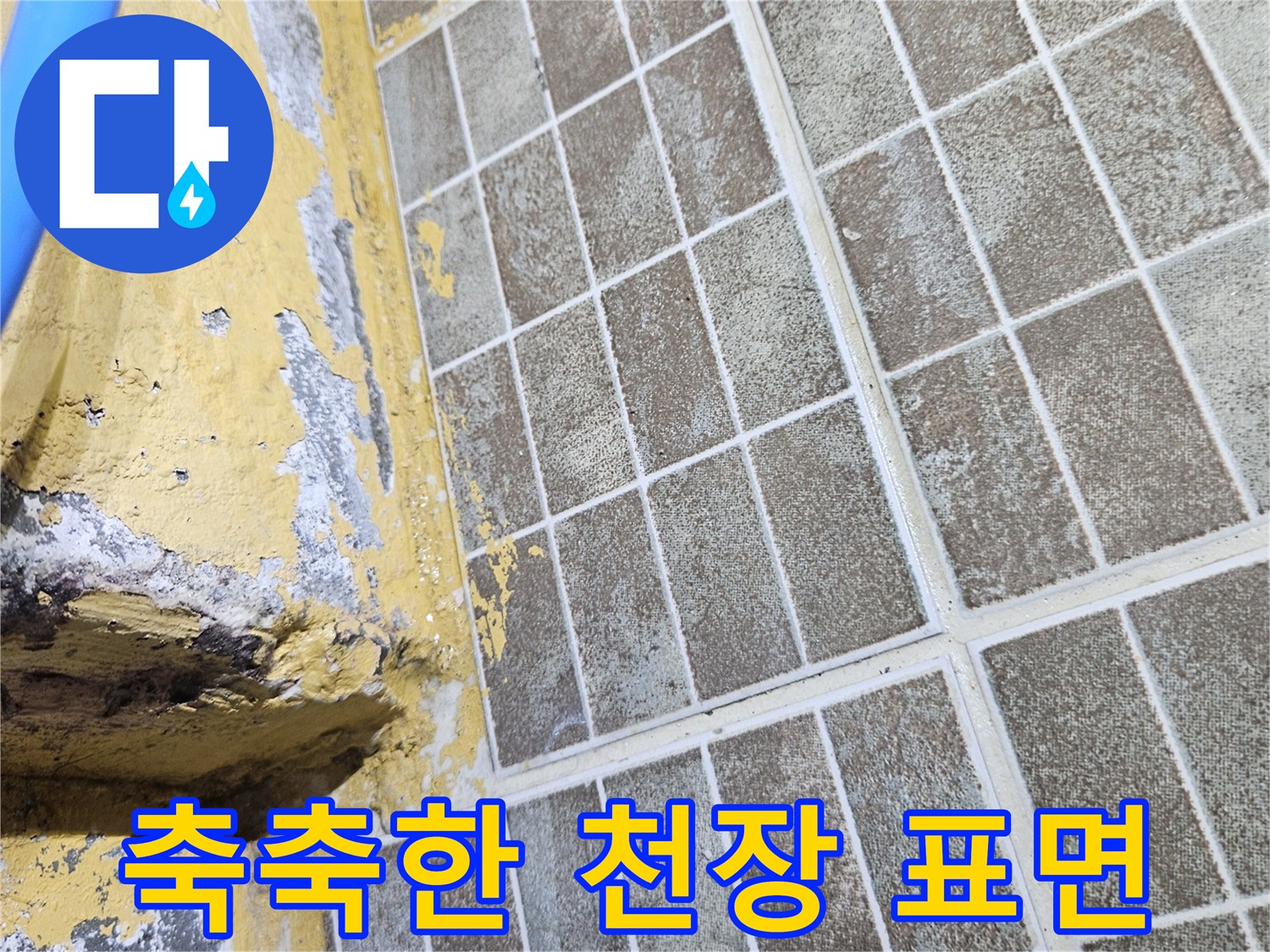 습기가 침투한 천장 마감재-누수 지점 탐색 중