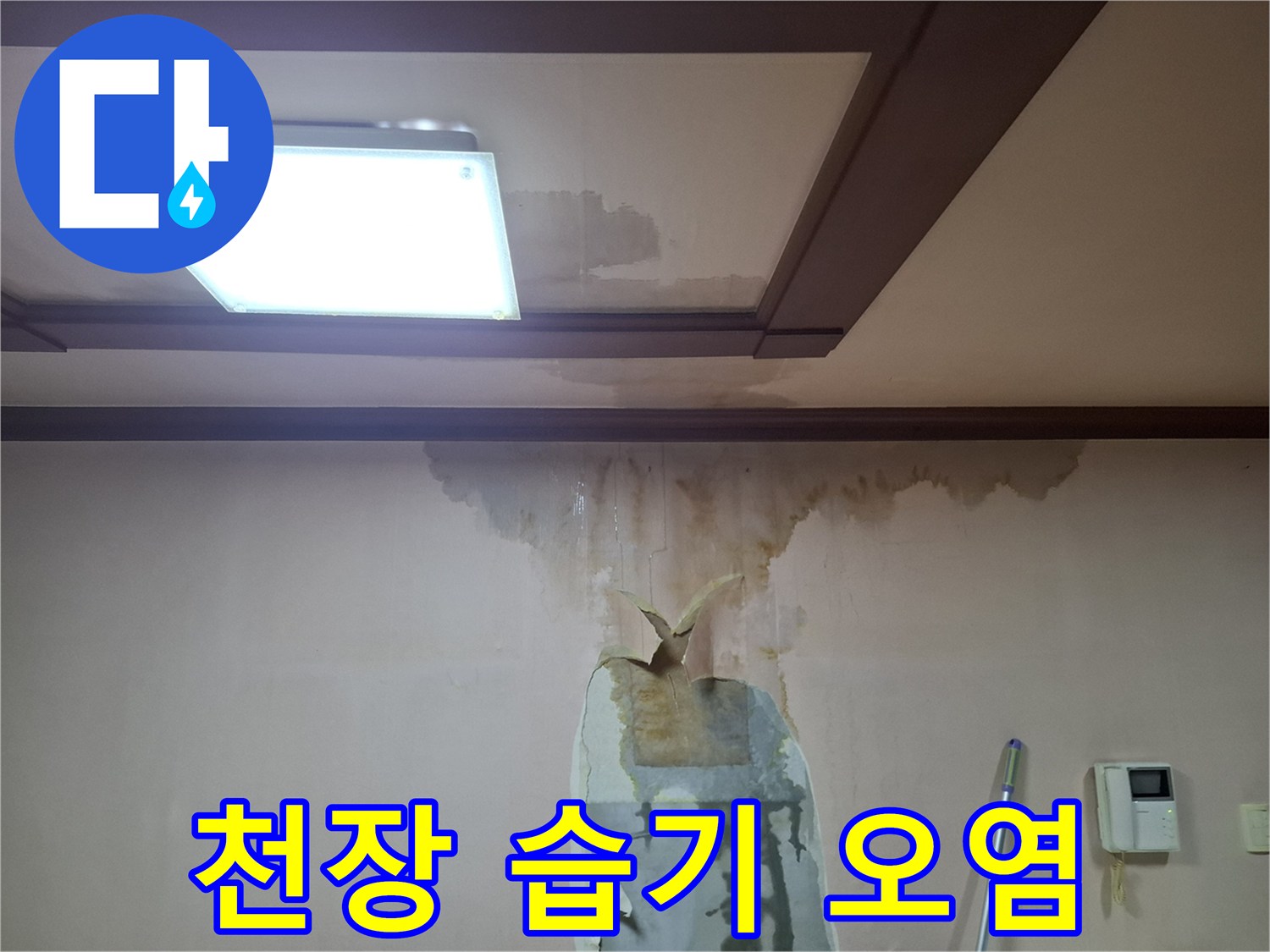 천장 조명 근처-벽면으로 번진 습윤한 얼룩