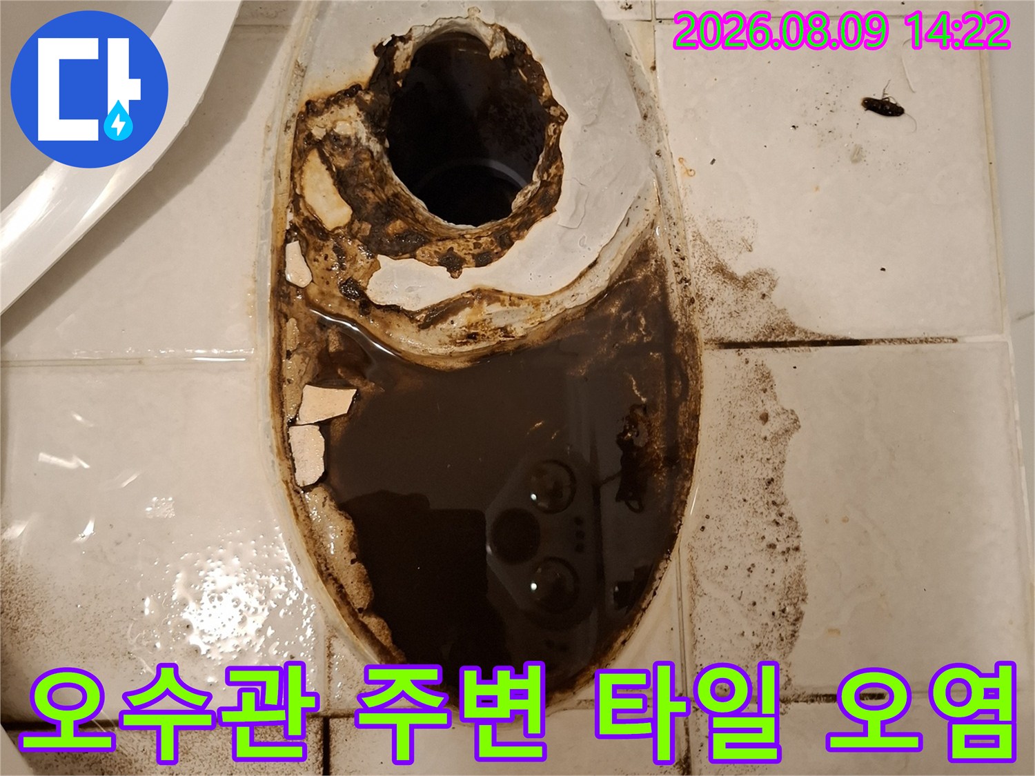 오수 배관 주변에 넓게 퍼진 검은색 오수 자국과 타일 오염