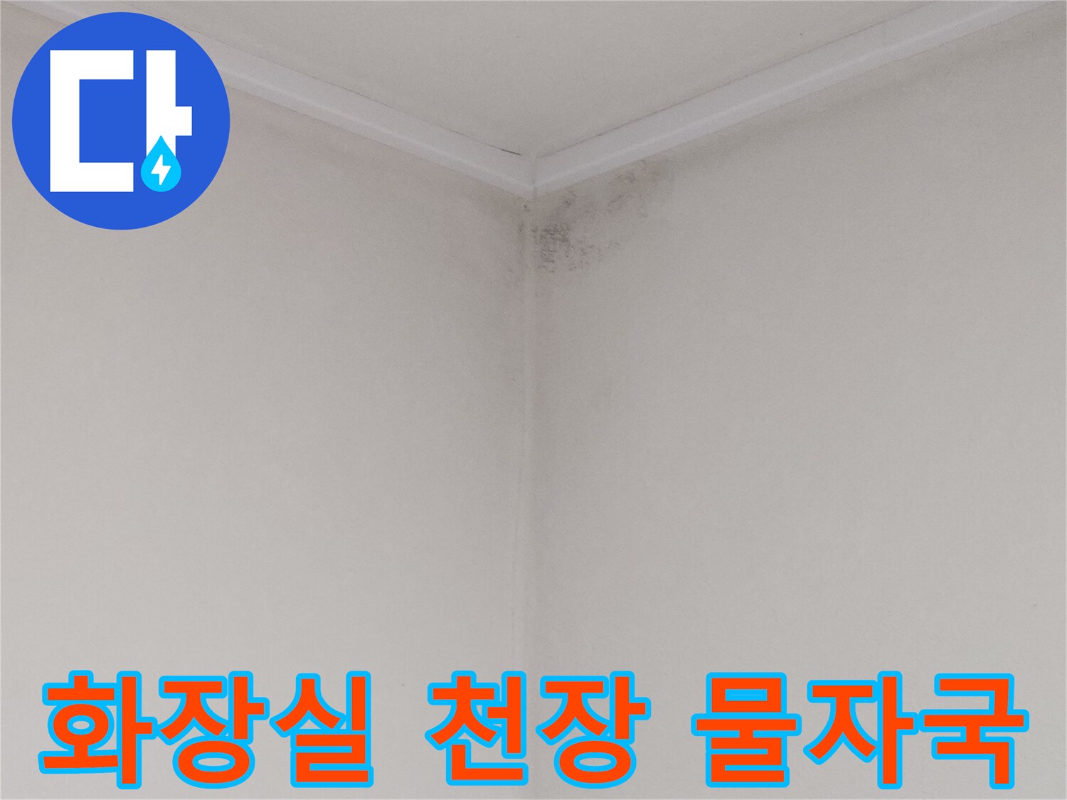 누수로 인해 오염된 화장실 천장 모서리 부분의 상세 사진