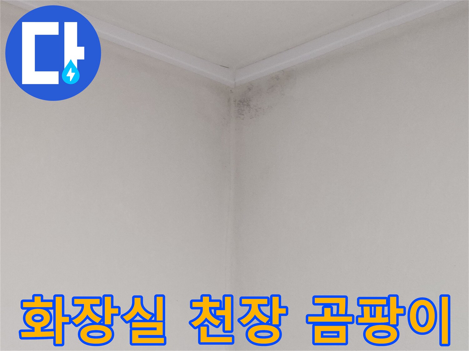 안양 아파트 화장실-천장 모서리 곰팡이 및 물자국 상태