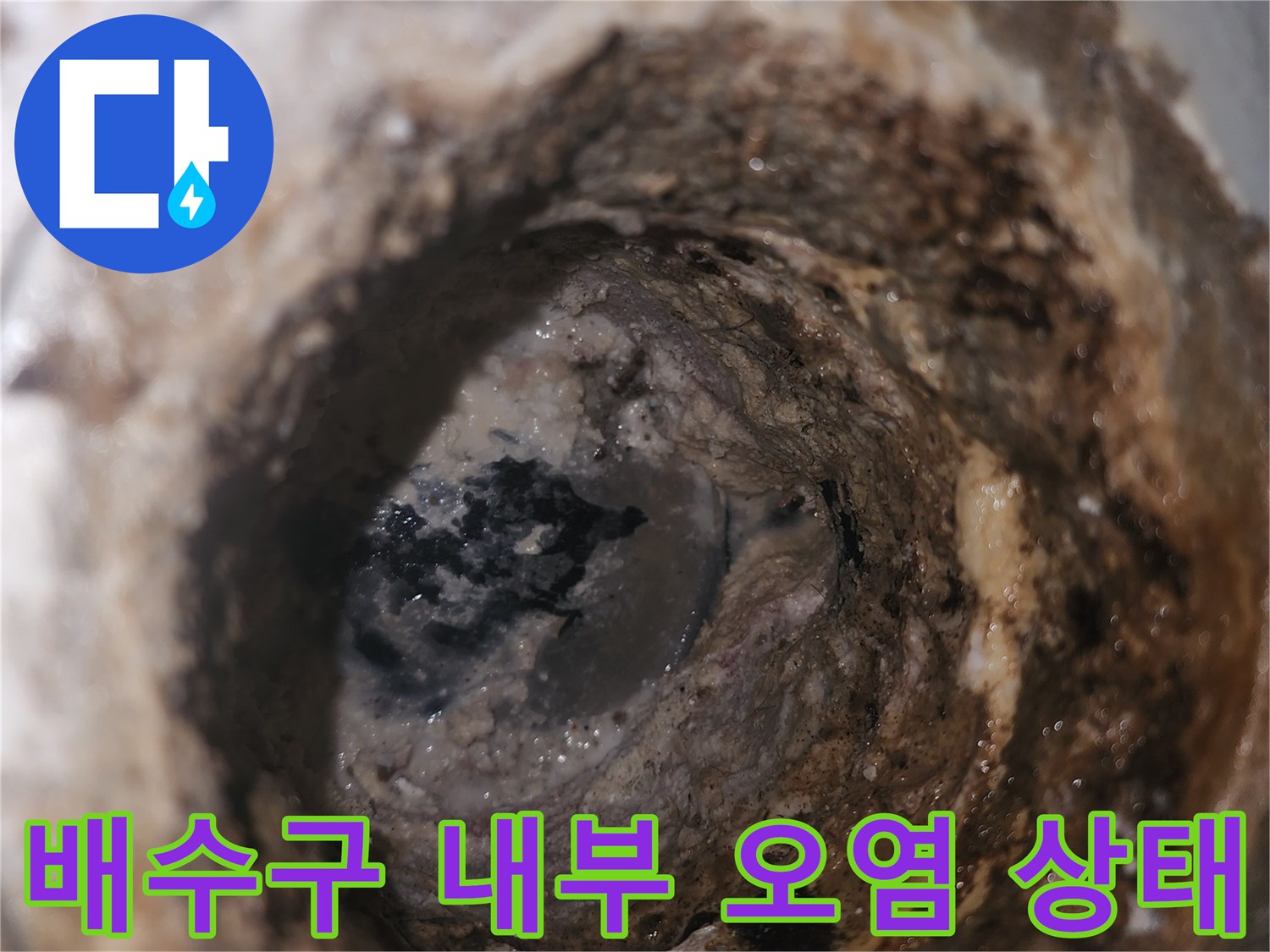 화장실-배수구-내부의-이물질과-오염된-상태