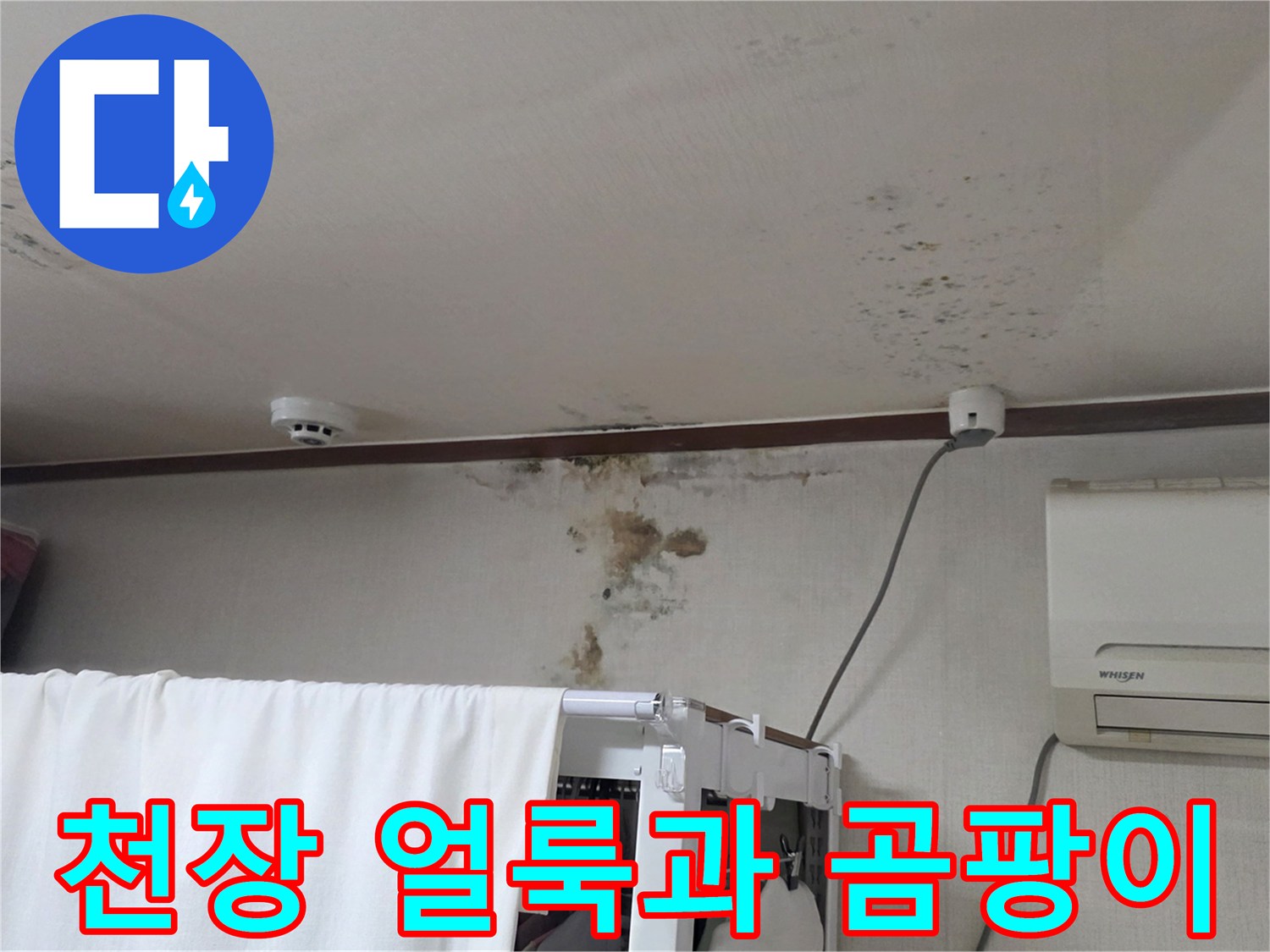 분당 구미동 아파트-천장 벽면의 누수 흔적과 곰팡이 발생 상태