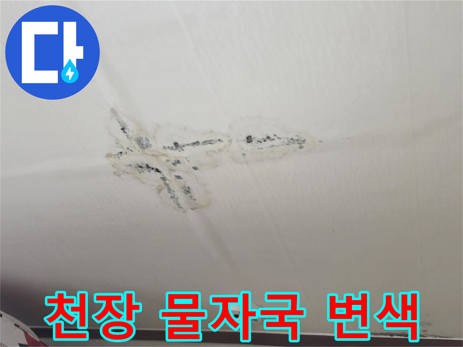 천장 면의 어둡게 변한 습기 침투 부위 사진