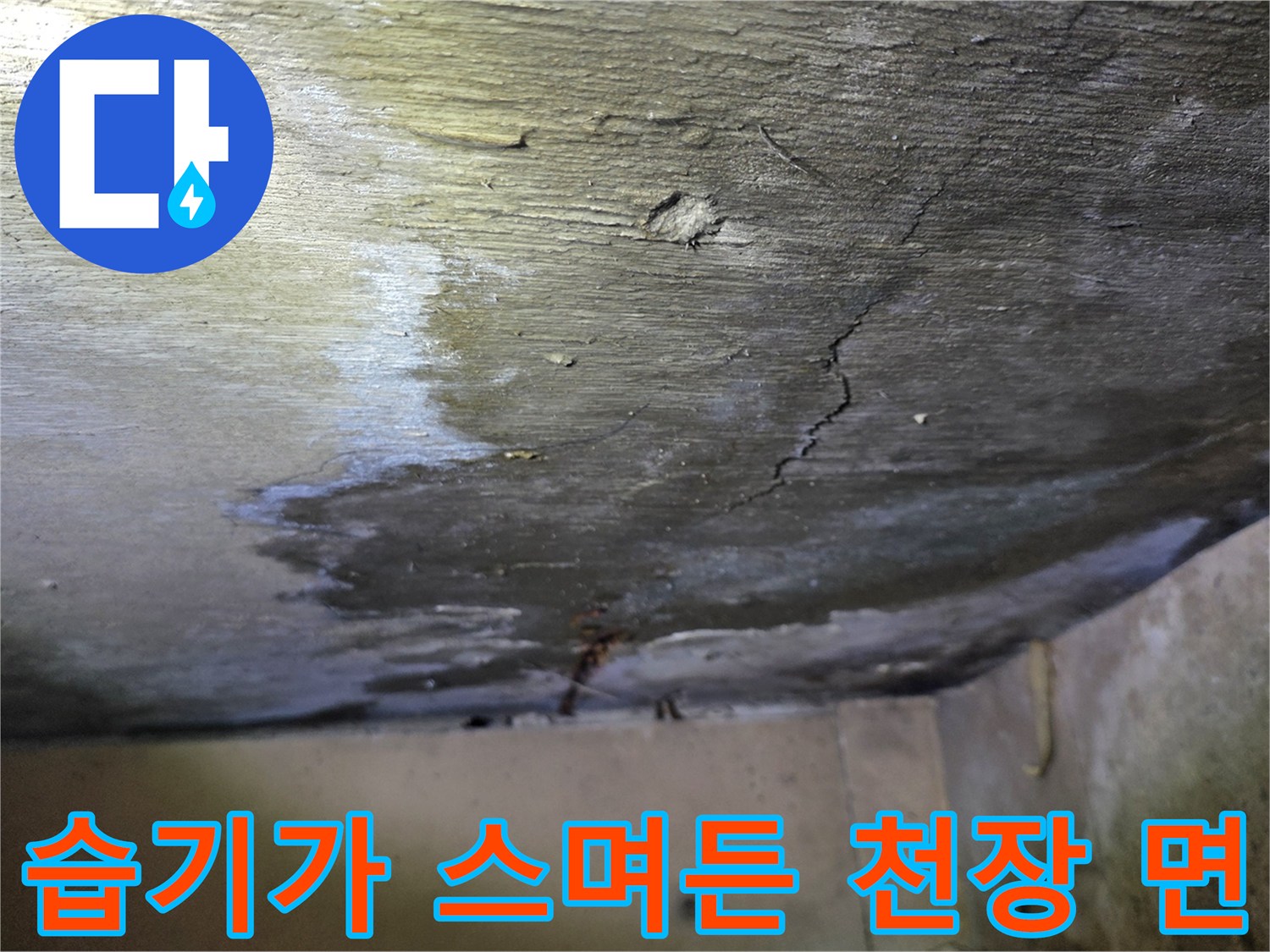 콘크리트 천장-물기에 젖어 어둡게 변색된 균열 부위의 모습