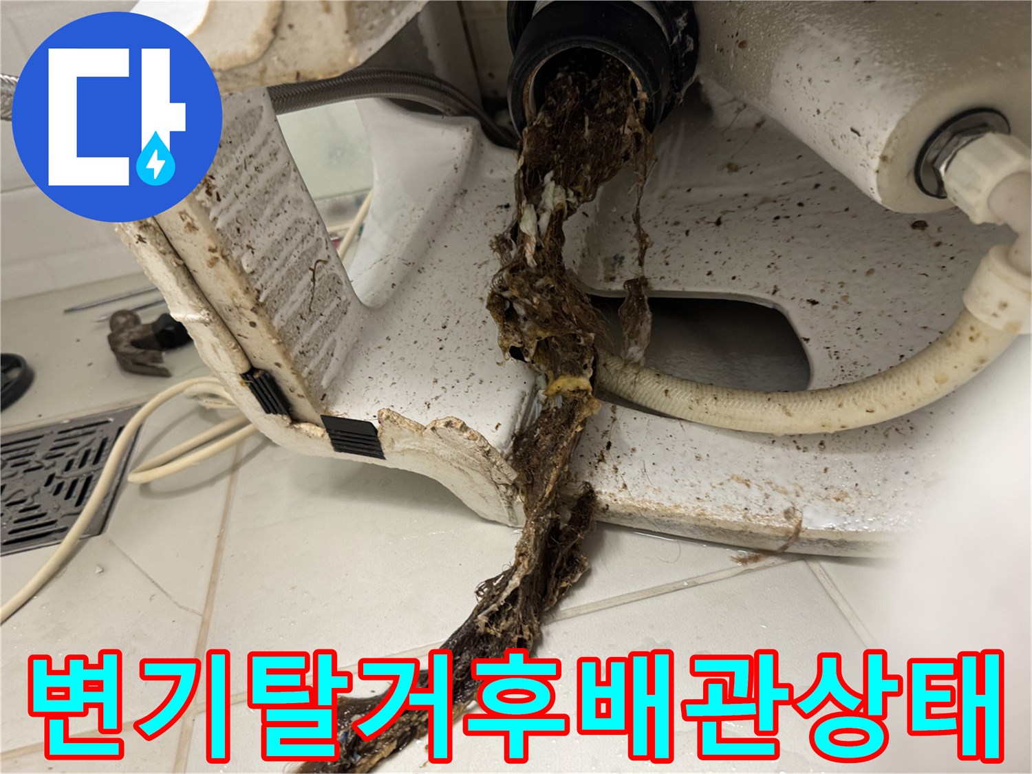 변기-배관-연결부에서-쏟아져 나온-오염된-이물질-뭉치