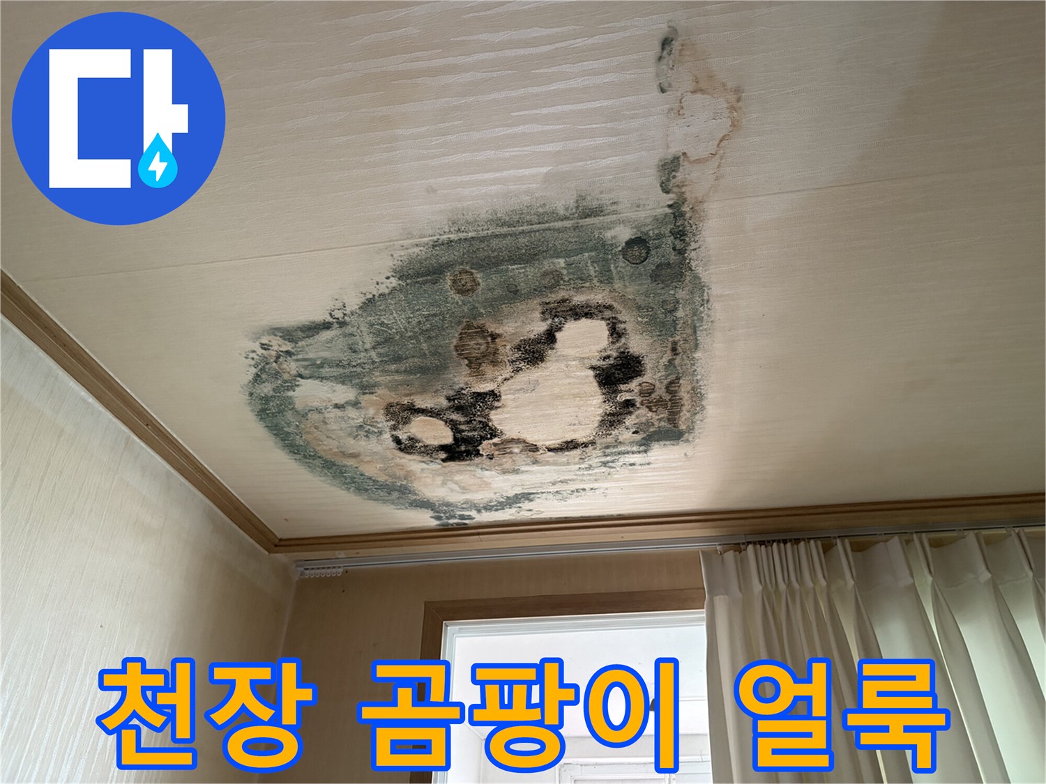 심하게 오염된-방 천장 벽지 및 곰패 부위