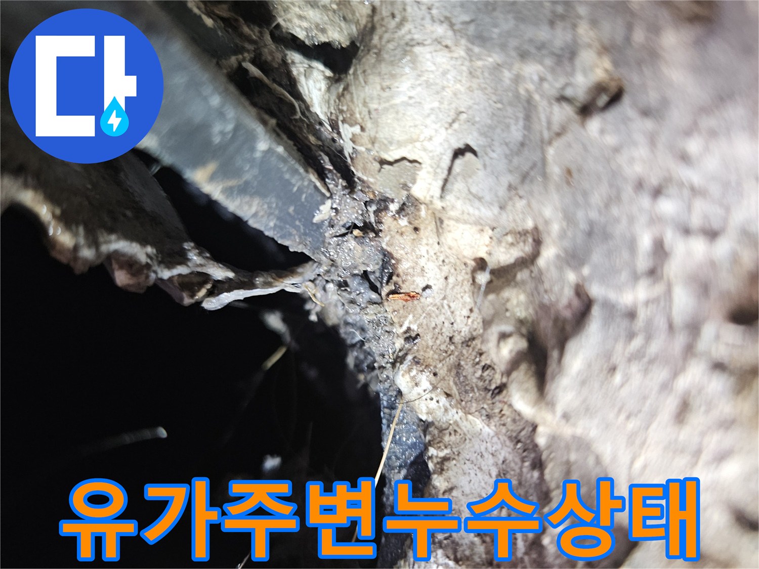 배수구-주변-벽면과-호스-사이의-습기-정밀-진단
