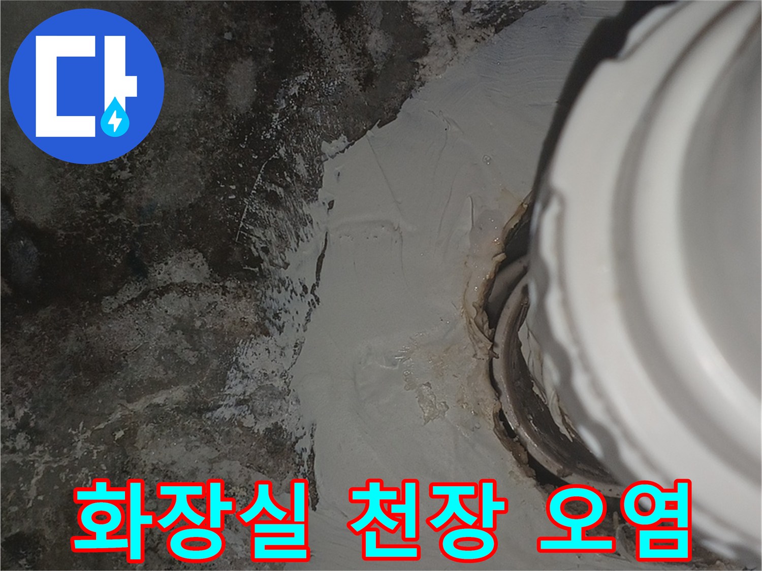 아랫집-화장실-천장-배관-주변-곰팡이와-물자국-상태