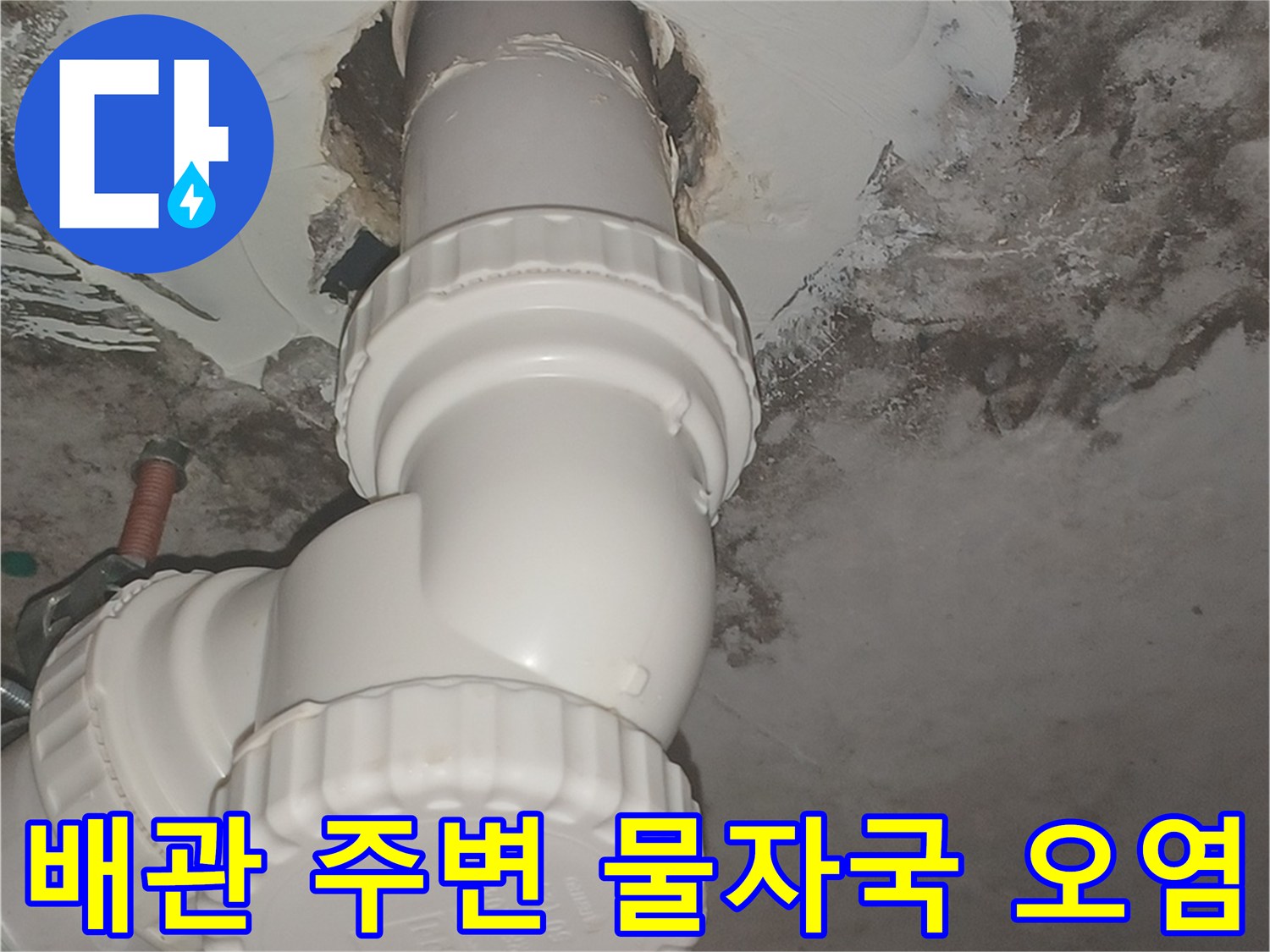 천장-배수관-주변의-심한-곰팡이와-젖은-벽면