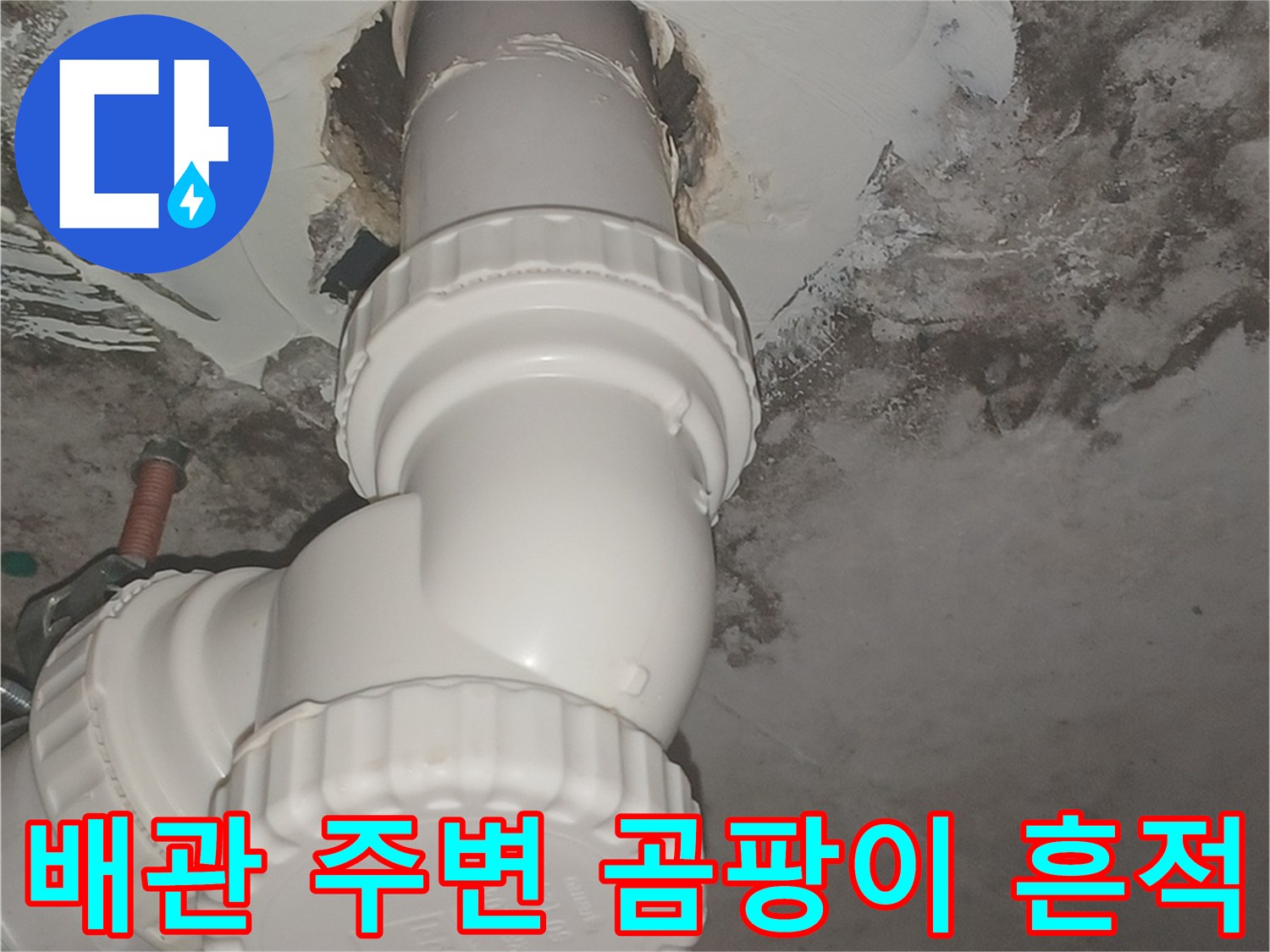 화장실-천장-배관-주변의-심한-물자국과-곰팡이-상태