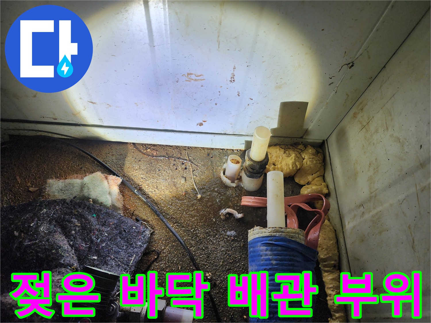 배관 주변의 젖은 흙과 습기 - 누수 지점 확인