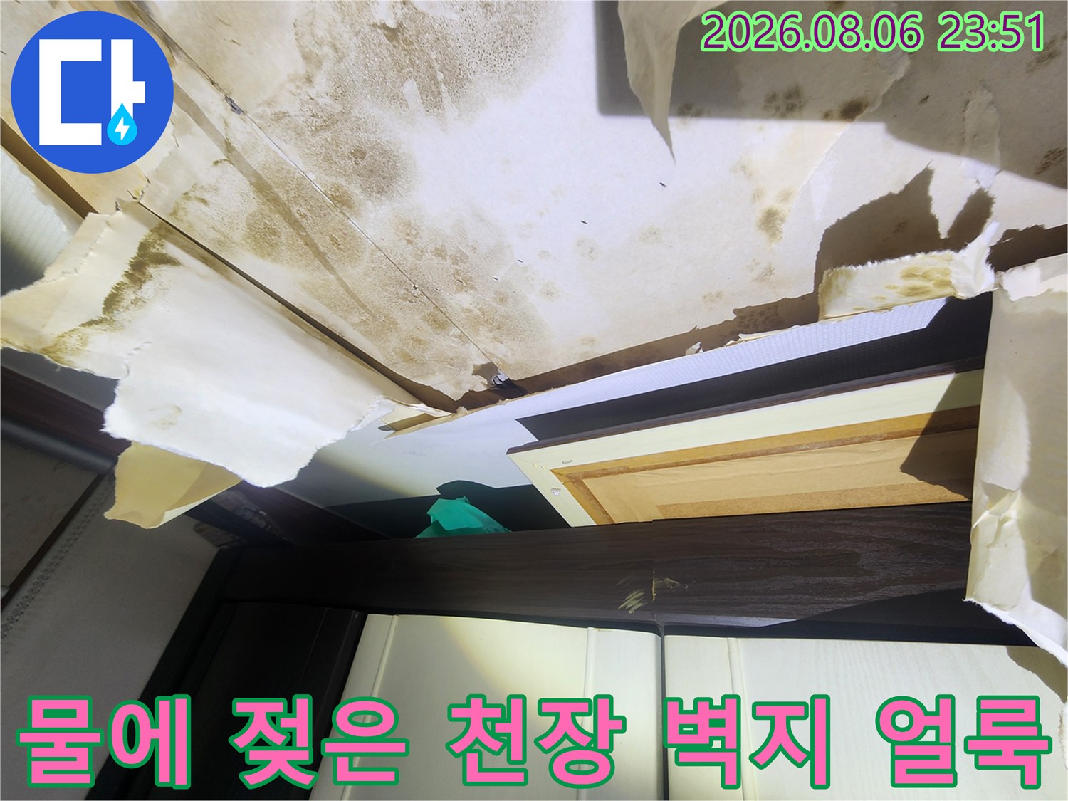 천장 벽지에 발생한 갈색 누수 얼룩과 곰팡이
